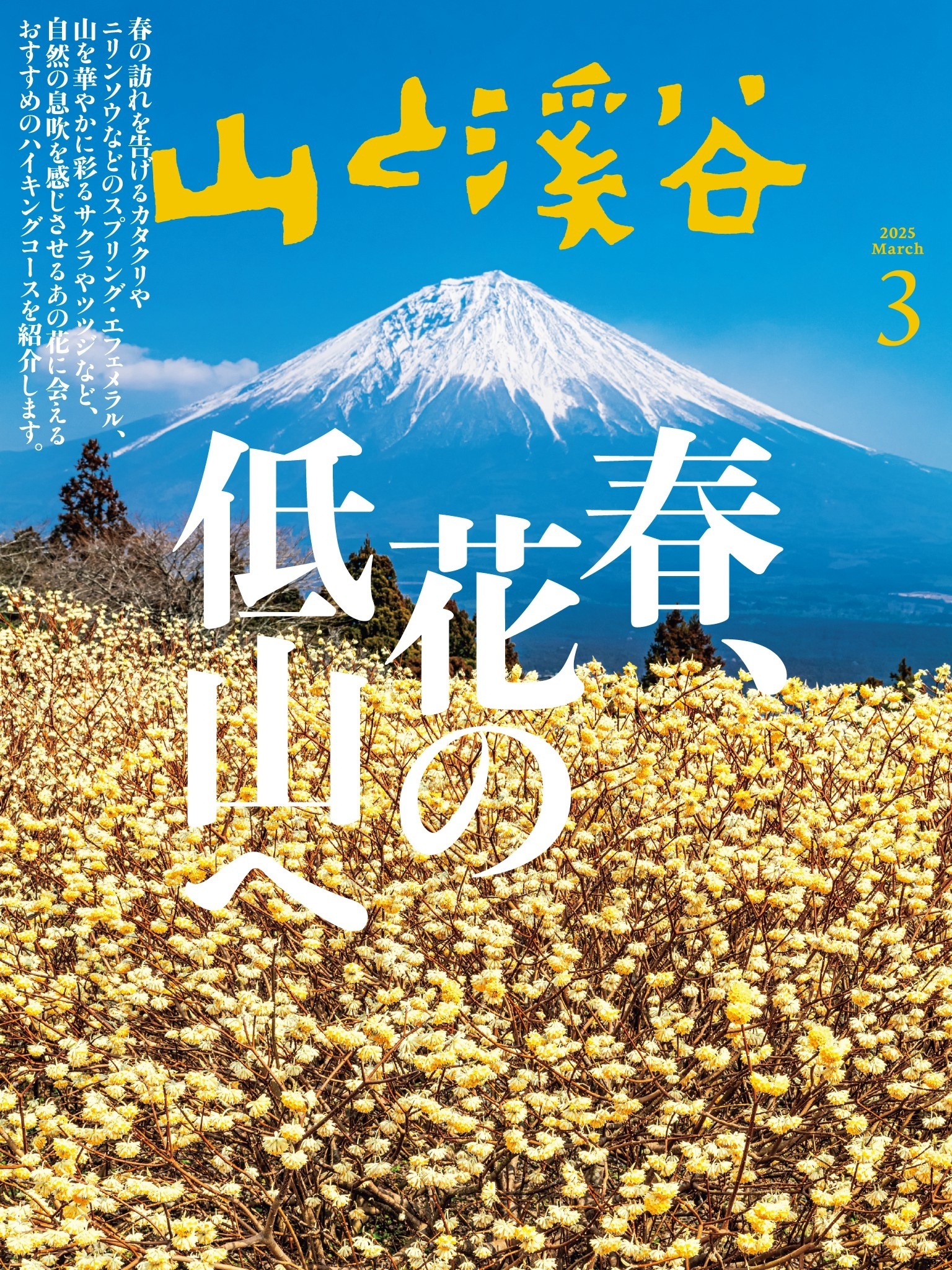 山と溪谷 2025年 3月号[雑誌]