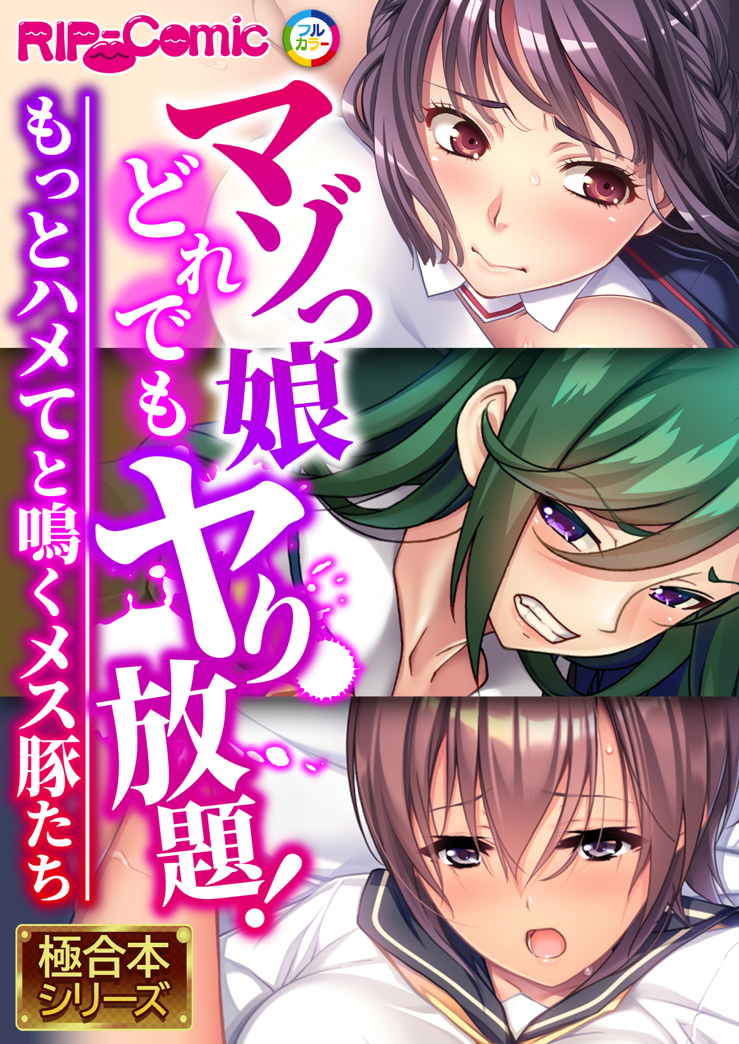 マゾっ娘どれでもヤり放題！ ～もっとハメてと鳴くメス豚たち～【極合本シリーズ】