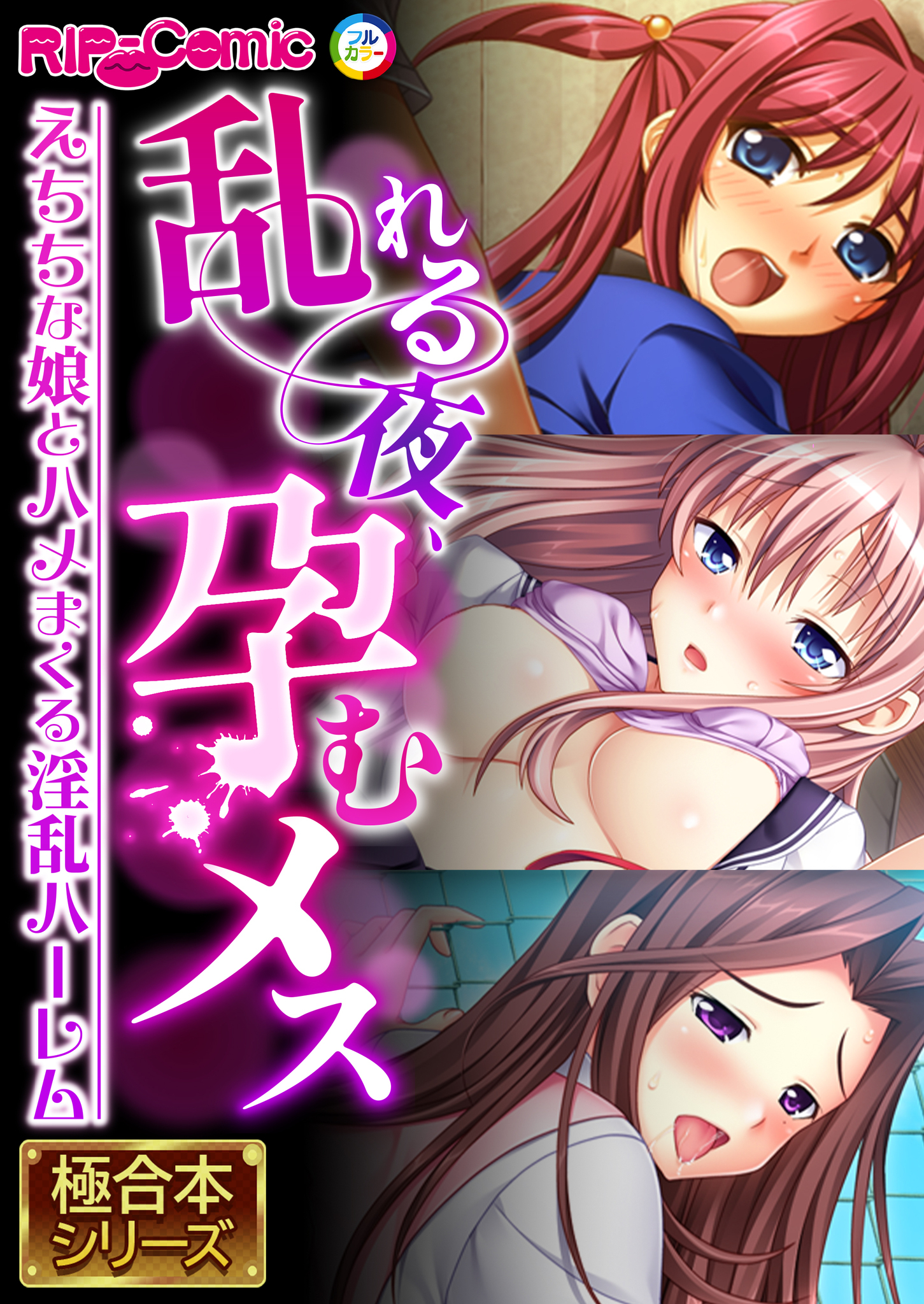 乱れる夜、孕むメス ～えちちな娘とハメまくる淫乱ハーレム～【極合本シリーズ】