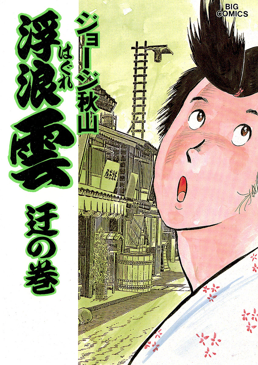 浮浪雲（はぐれぐも） 29