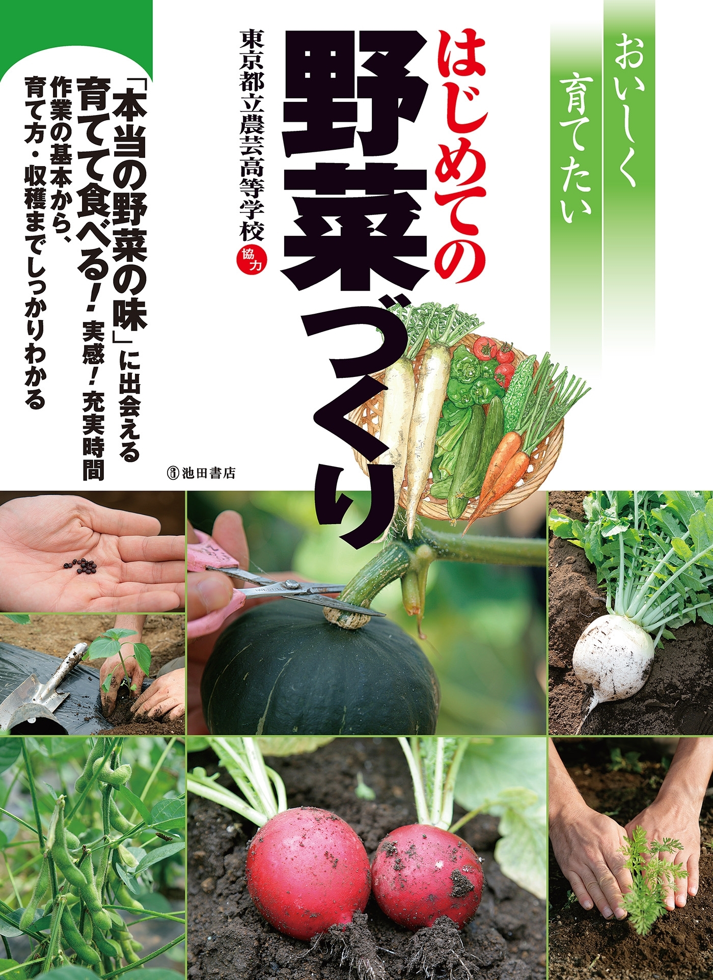 おいしく育てたいはじめての野菜づくり（池田書店）