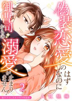 偽装恋愛のはずなのに御曹司からの溺愛が止まりません!【描き下ろしおまけ付き特装版】