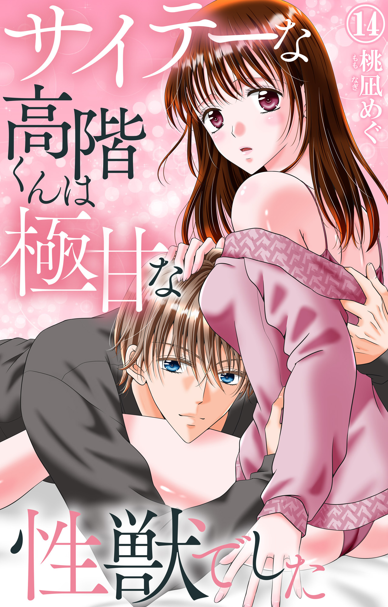 サイテーな高階くんは極甘な性獣でした 14