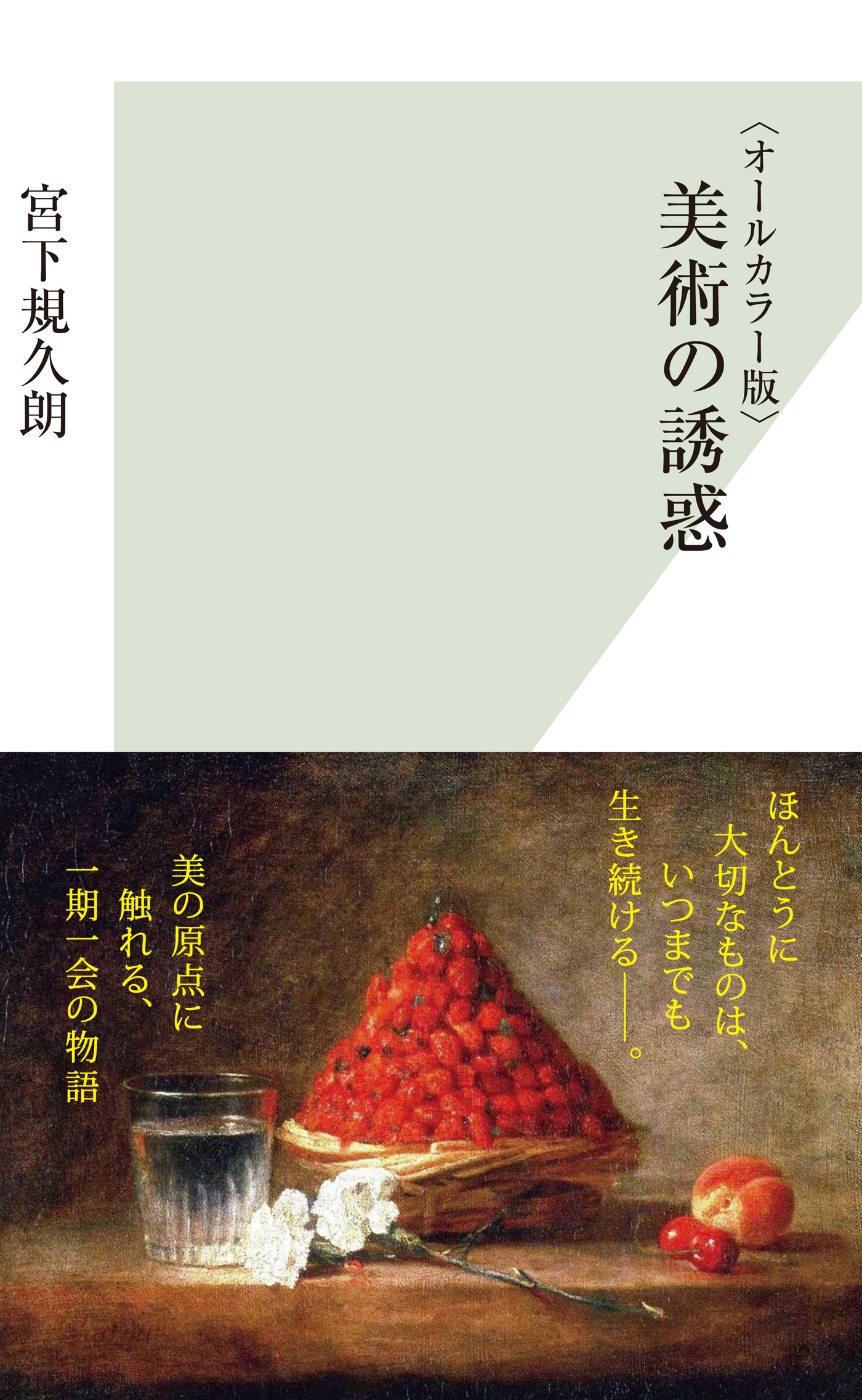 〈オールカラー版〉美術の誘惑