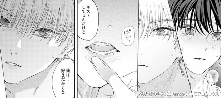 きみと嘘のキスのコマ