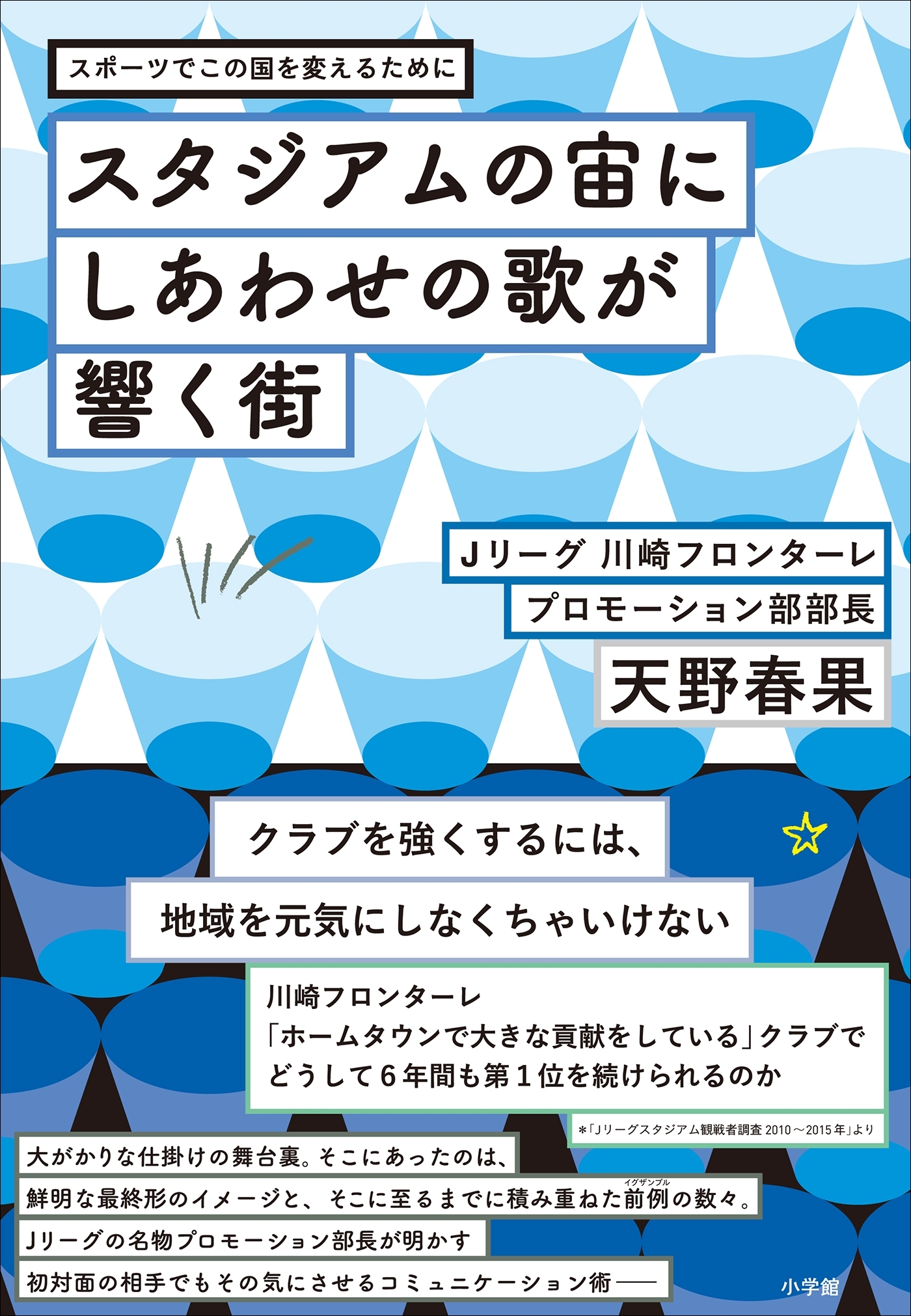 スタジアムの宙にしあわせの歌が響く街～スポーツでこの国を変えるために～