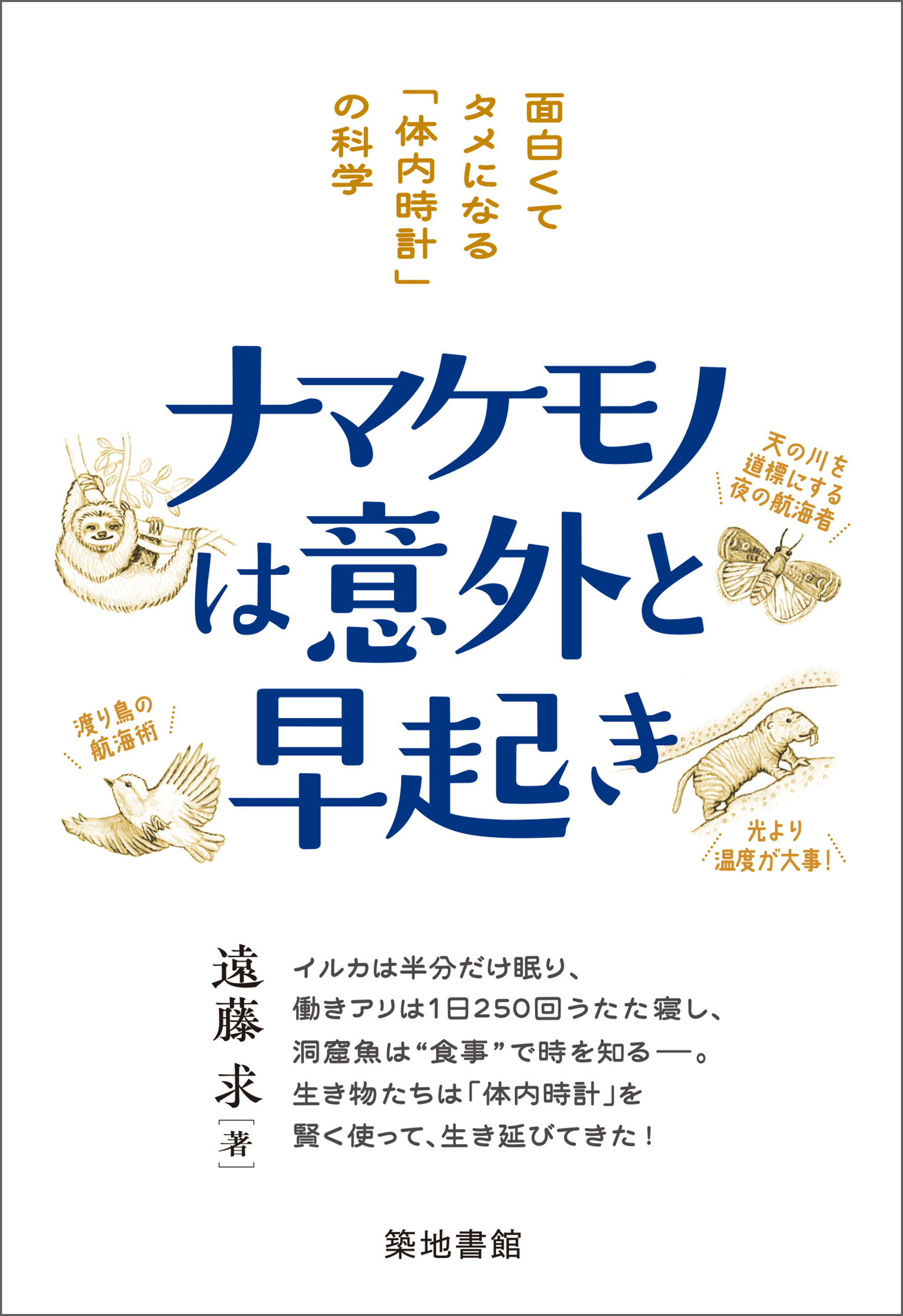 ナマケモノは意外と早起き