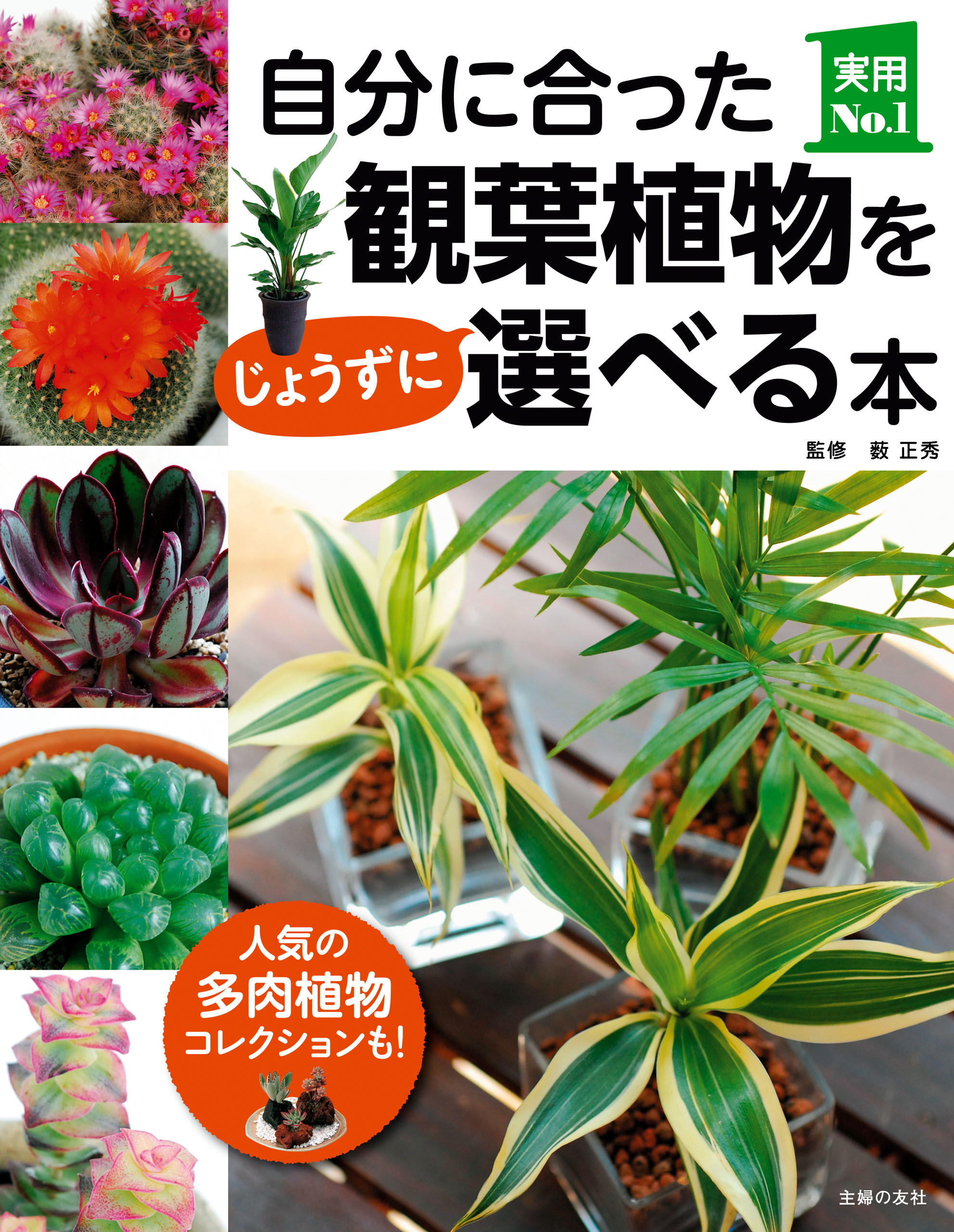 自分に合った観葉植物をじょうずに選べる本
