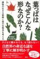 葉っぱはなぜこんな形なのか? 植物の生きる戦略と森の生態系を考える