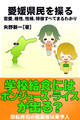 愛媛県民を操る{恋愛、相性、性格、特徴すべてまるわかり}