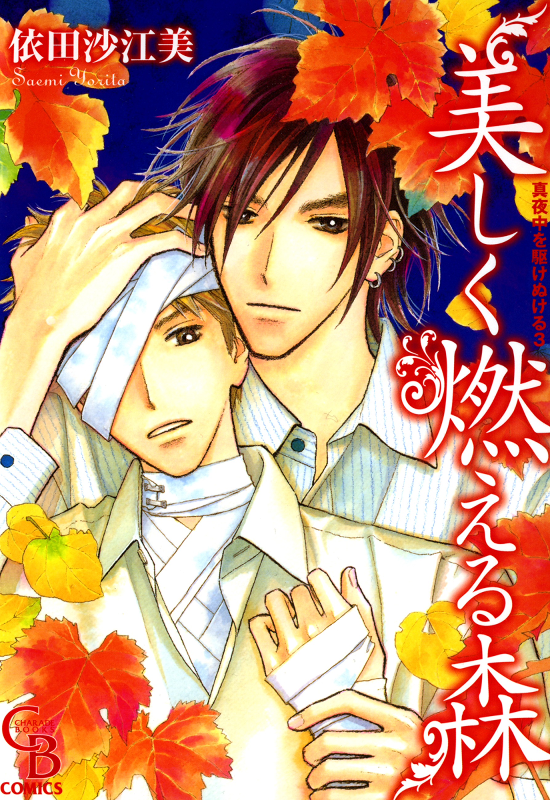 真夜中を駆けぬける