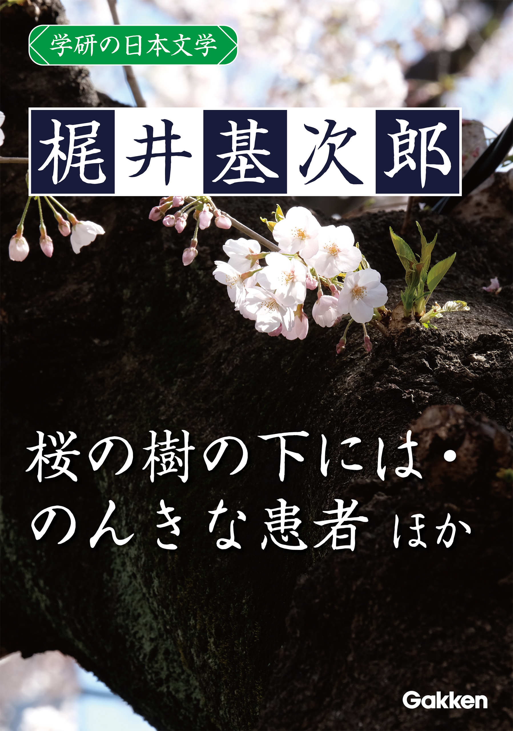 学研の日本文学 梶井基次郎 蒼穹 筧の話 器楽的幻覚 冬の蝿 ある崖上の感情 桜の樹の下には 愛撫 闇の絵巻 交尾 のんきな患者