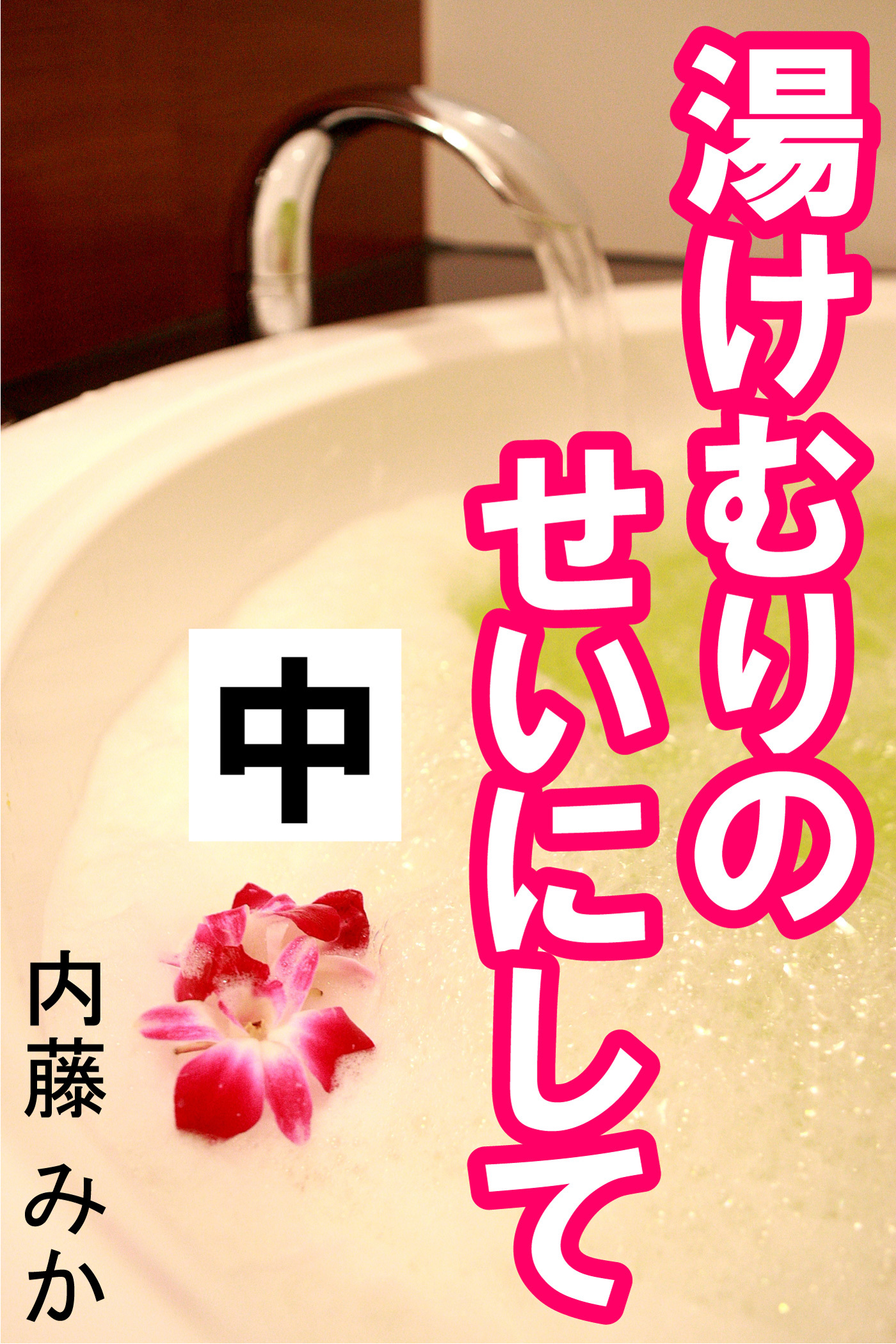 湯けむりのせいにして　中