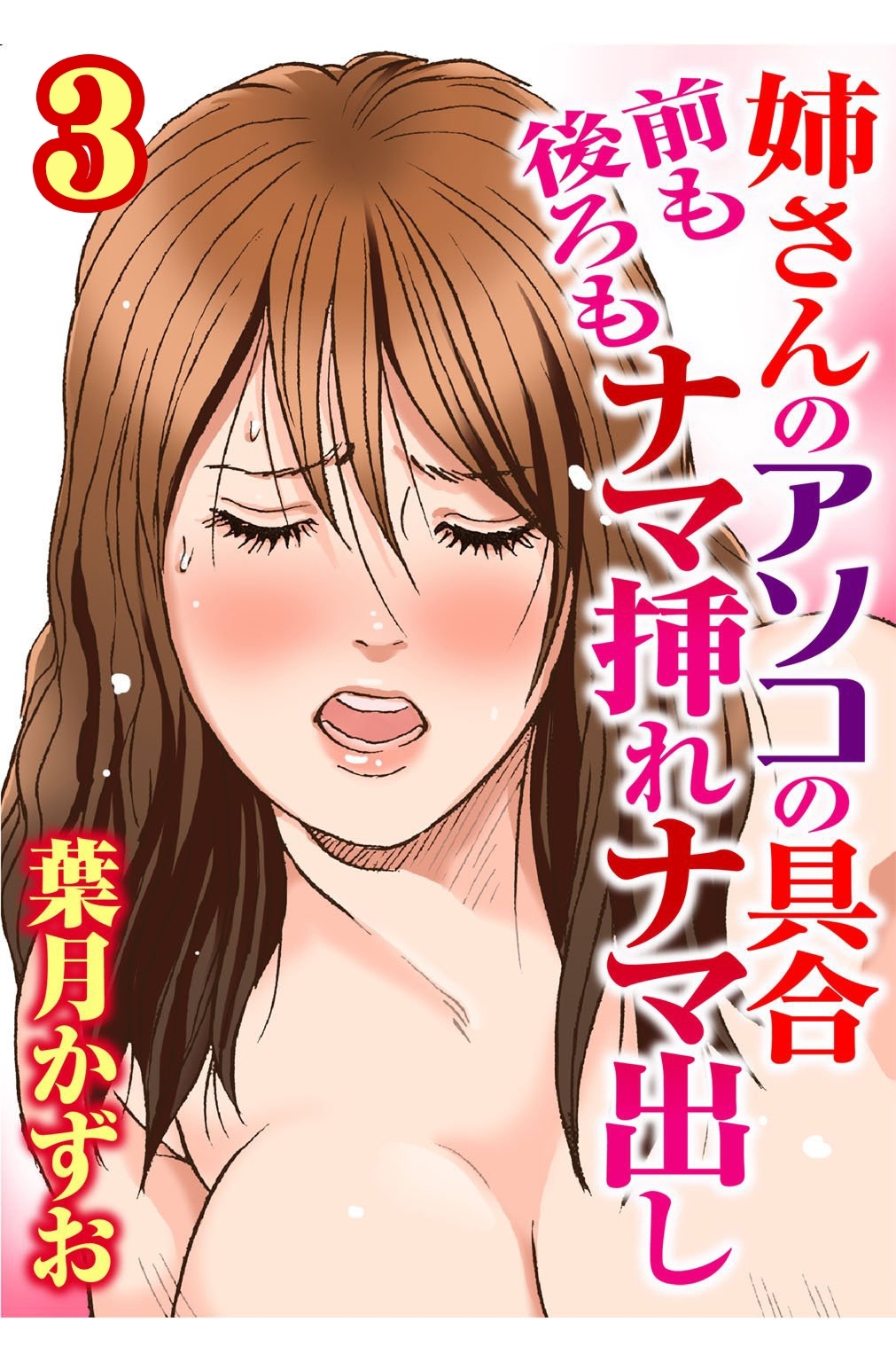 姉さんのアソコの具合 前も後ろもナマ挿れナマ出し【分冊版】3