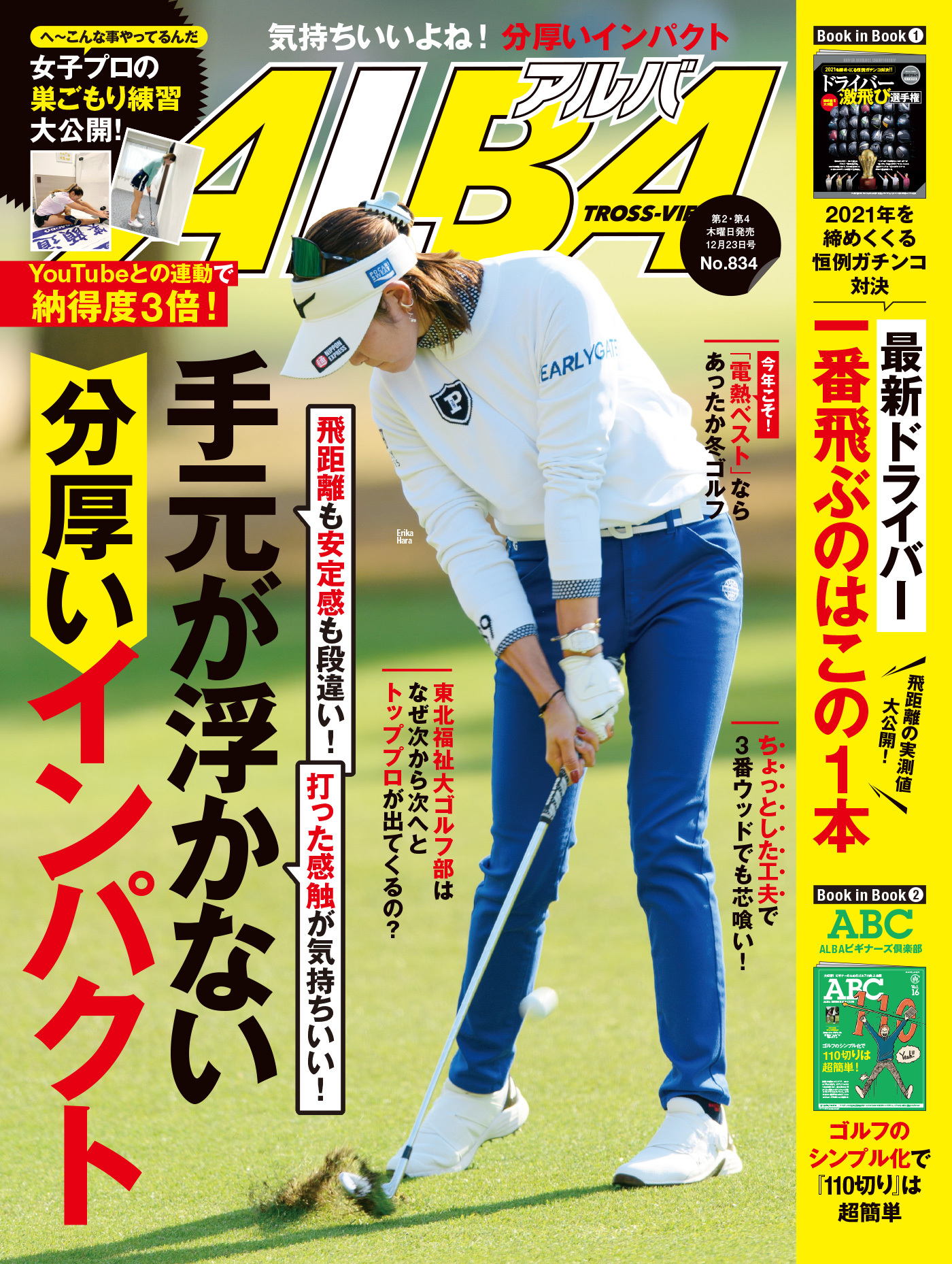 アルバトロス・ビュー  No.834