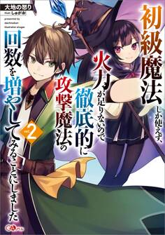 「初級魔法しか使えず、火力が足りないので徹底的に攻撃魔法の回数を増やしてみることにしました」シリーズ
