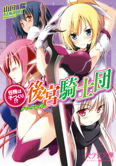 任務は子づくり!? 後宮騎士団