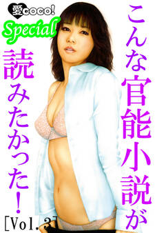 こんな官能小説が読みたかった!vol.3