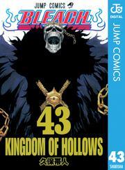 BLEACH モノクロ版 43