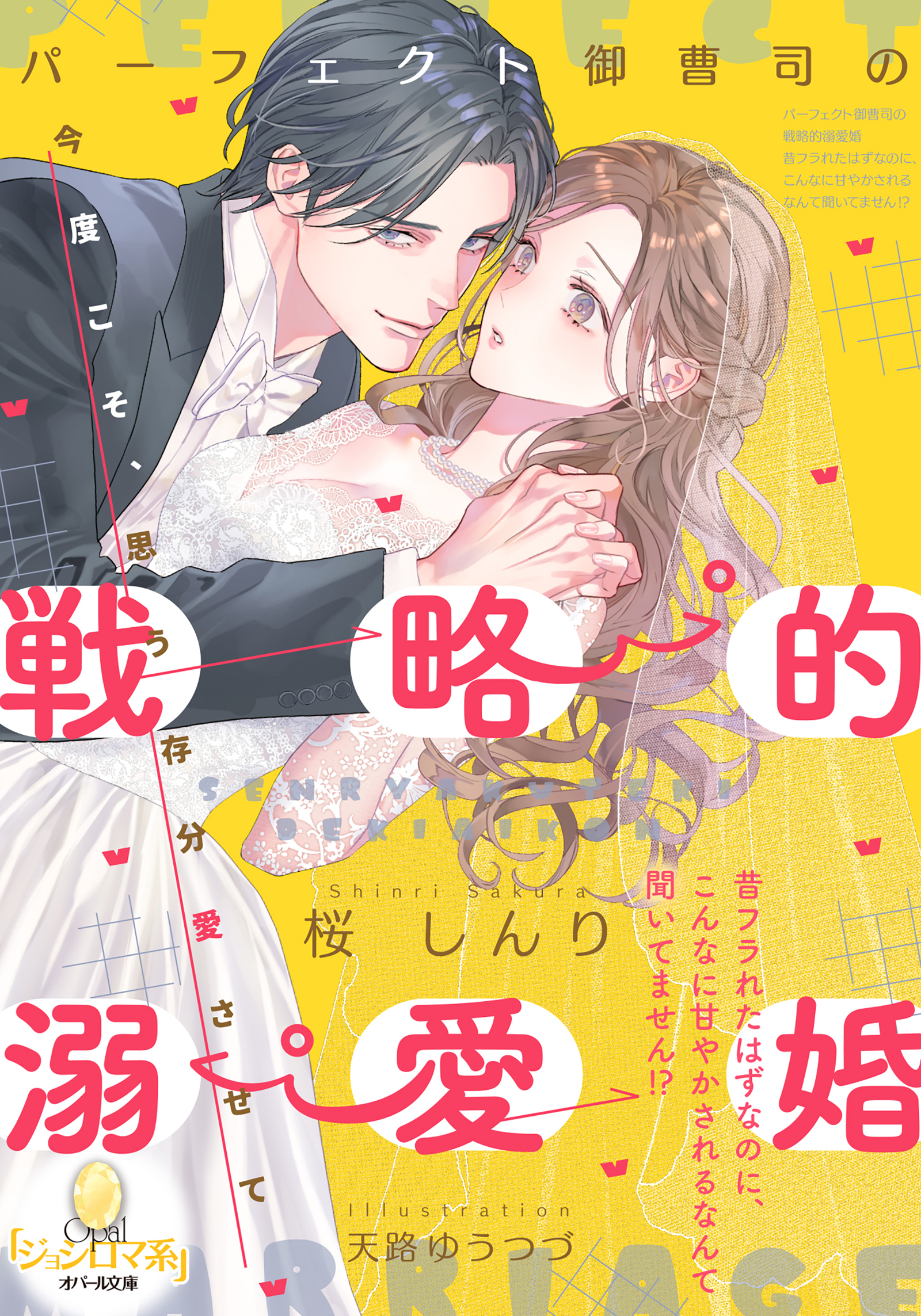 パーフェクト御曹司の戦略的溺愛婚　昔フラれたはずなのに、こんなに甘やかされるなんて聞いてません！？