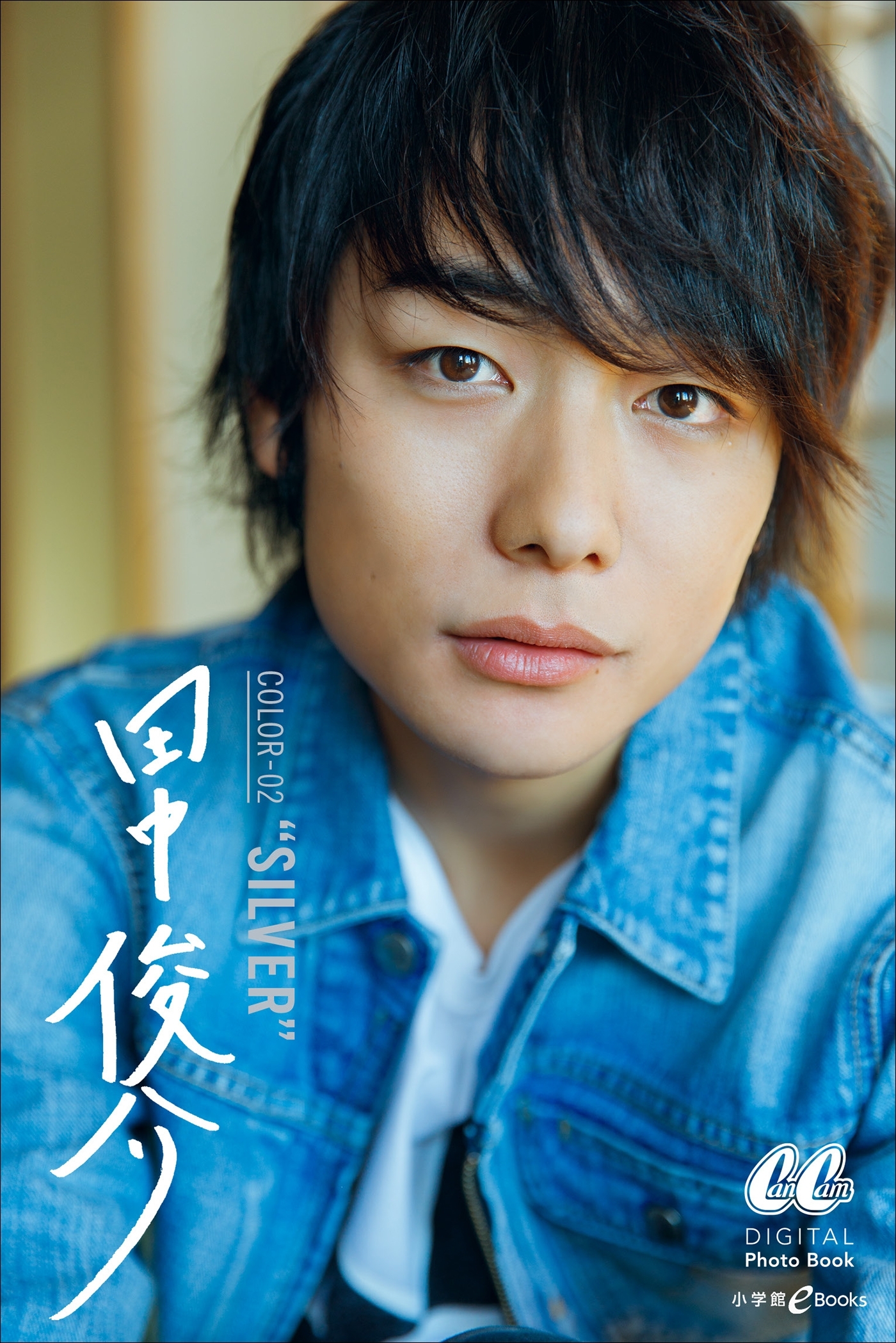 田中 俊介 COLOR-02　“ＳＩLVER”