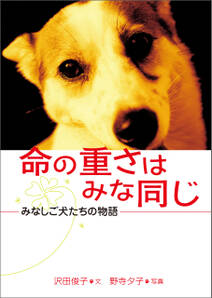 命の重さはみな同じ みなしご犬たちの物語