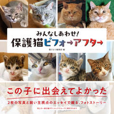 みんなしあわせ! 保護猫ビフォーアフター