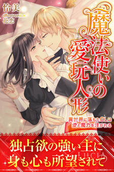 魔法使いの愛玩人形 異世界に落ちたOLは愛と魔力を注がれる