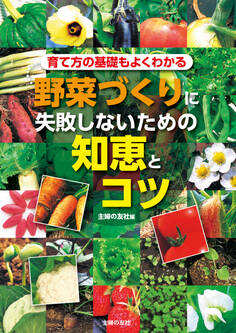 野菜づくりに失敗しないための知恵とコツ