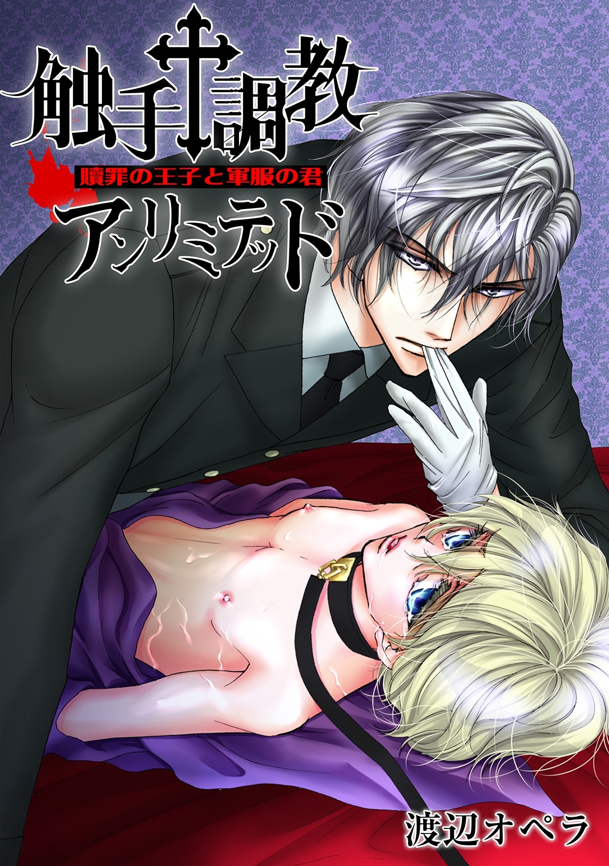 触手†調教アンリミテッド ～贖罪の王子と軍服の君～