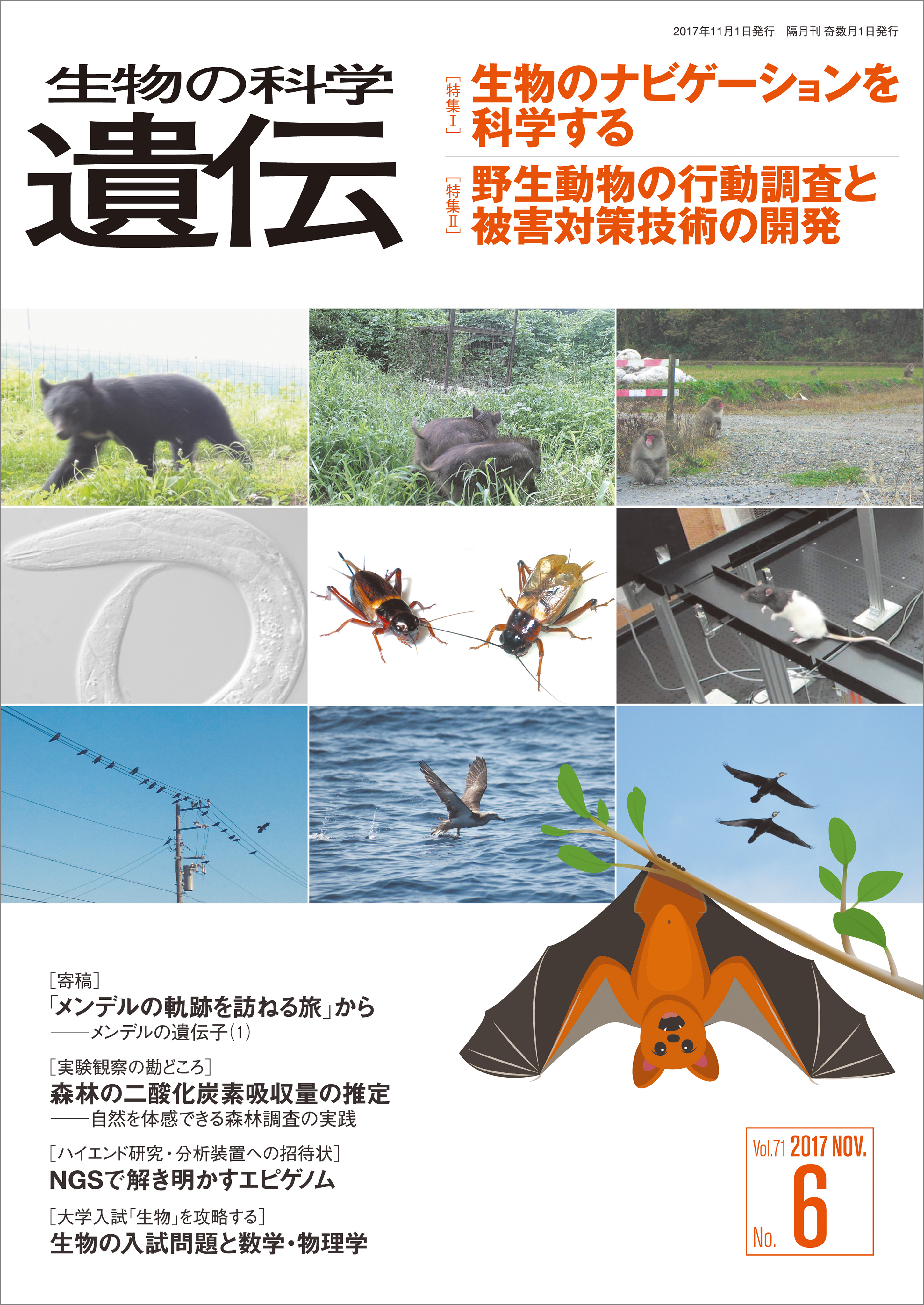 生物の科学 遺伝 2017年11月発行号 Vol.71 No.6