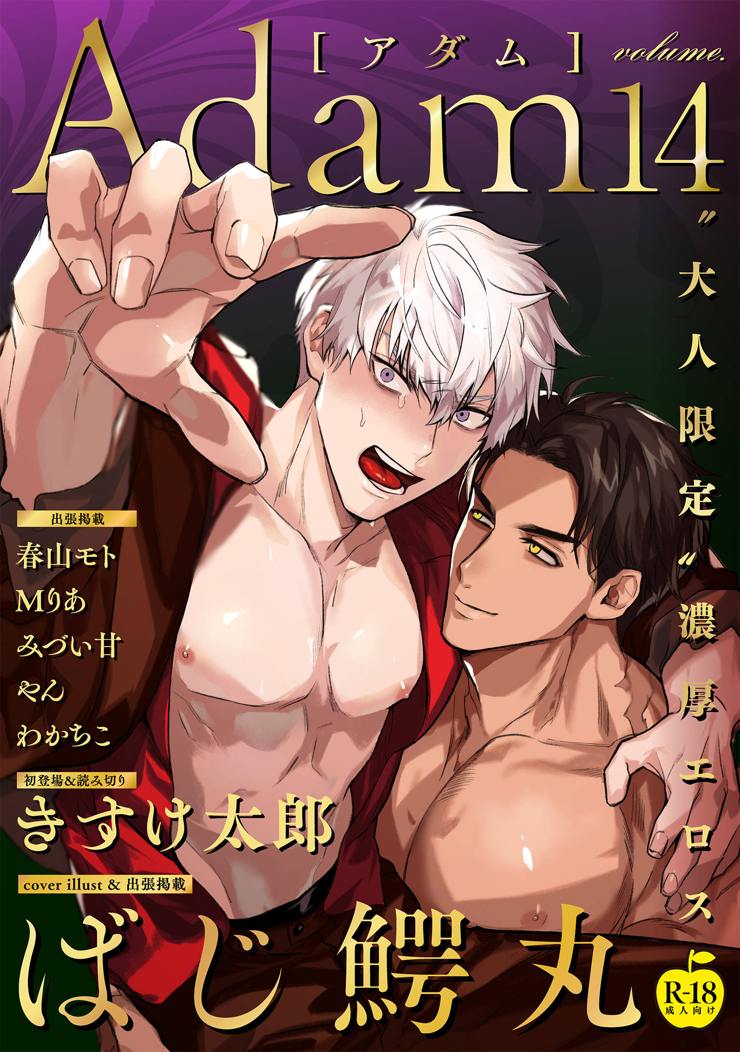 Adam volume.14【R18版】
