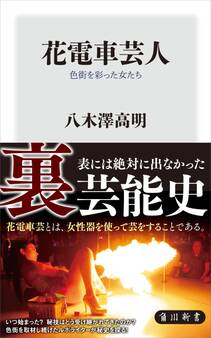 花電車芸人 色街を彩った女たち