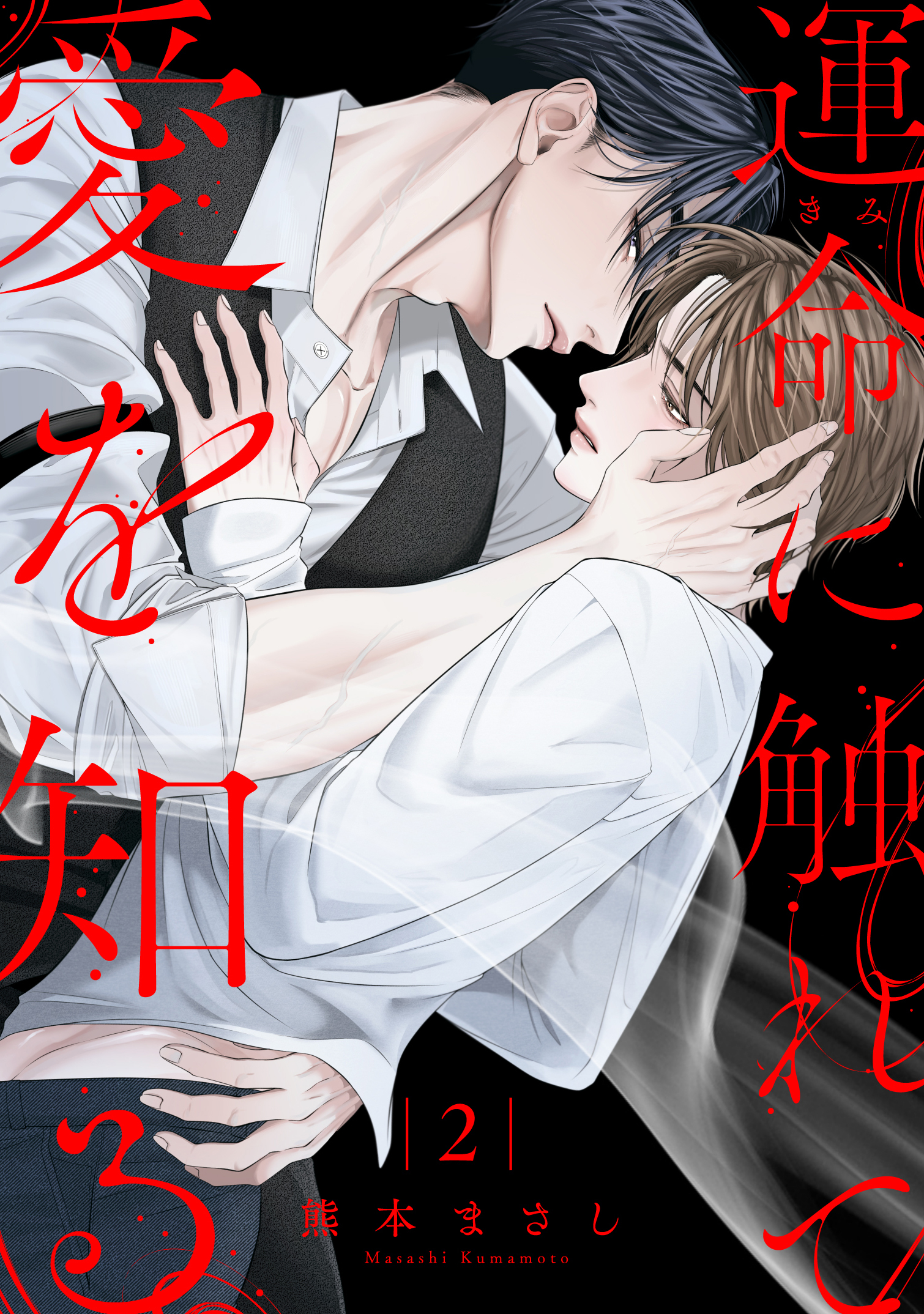 運命に触れて愛を知る2