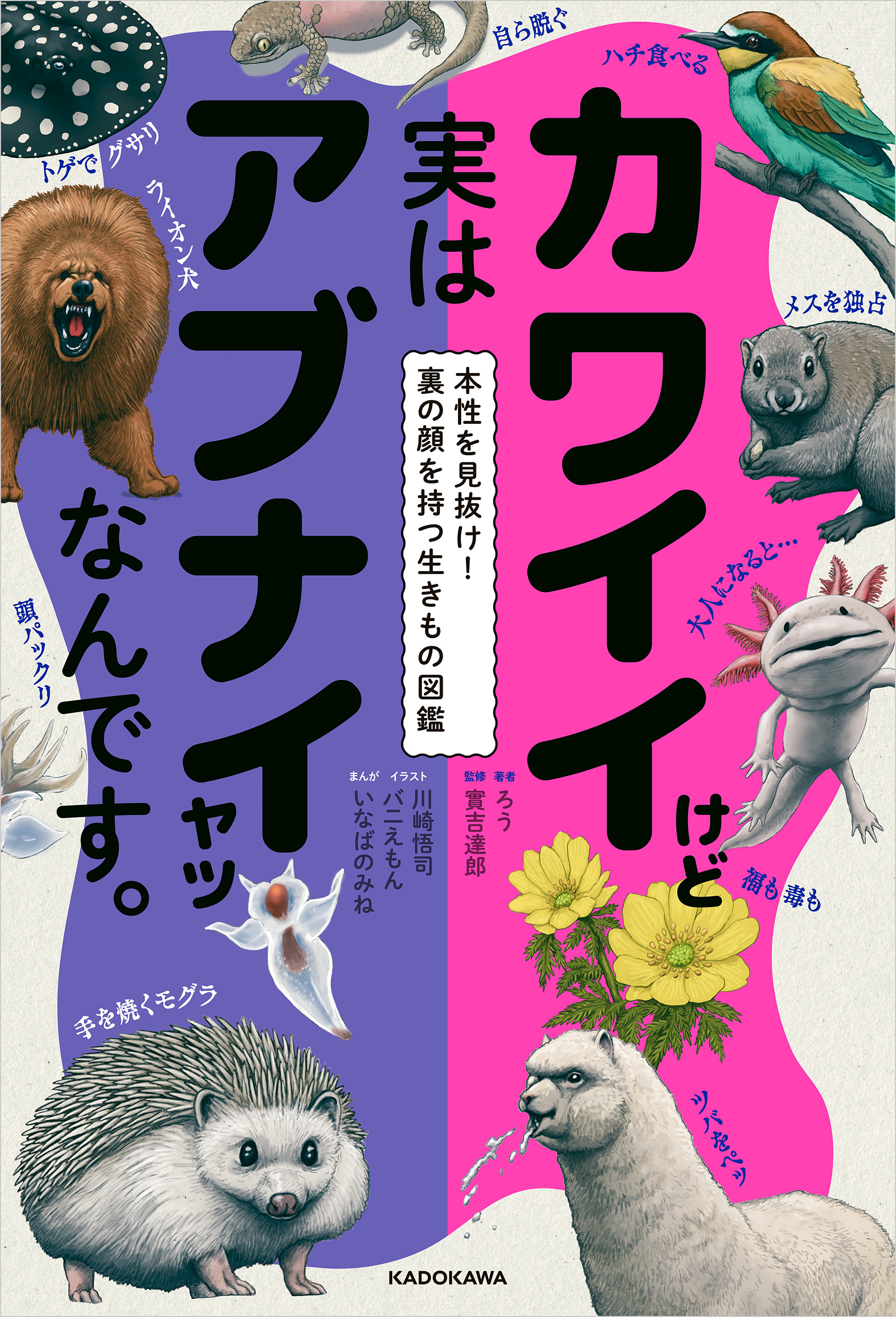生きもの図鑑シリーズ