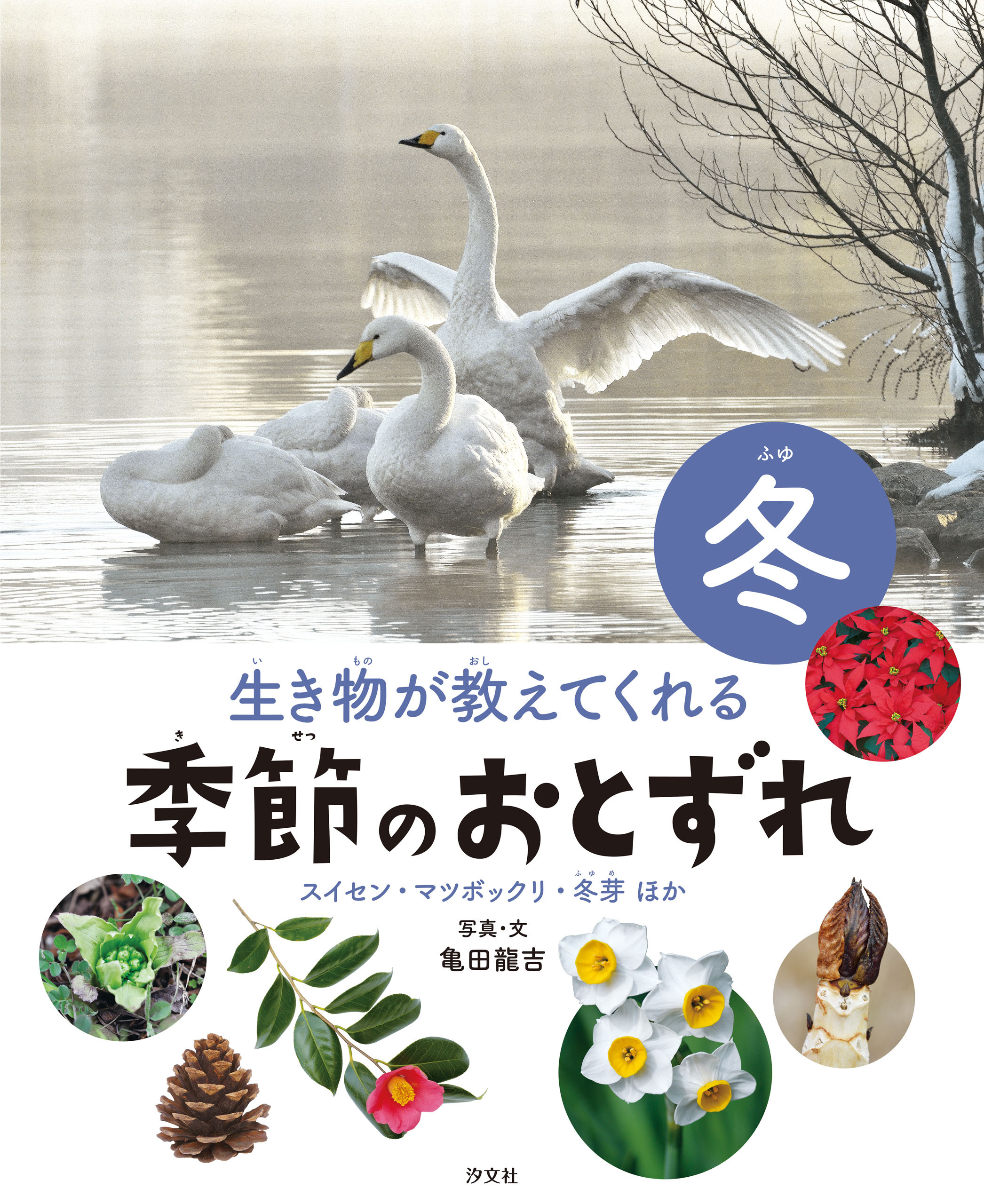 生き物が教えてくれる 季節のおとずれ