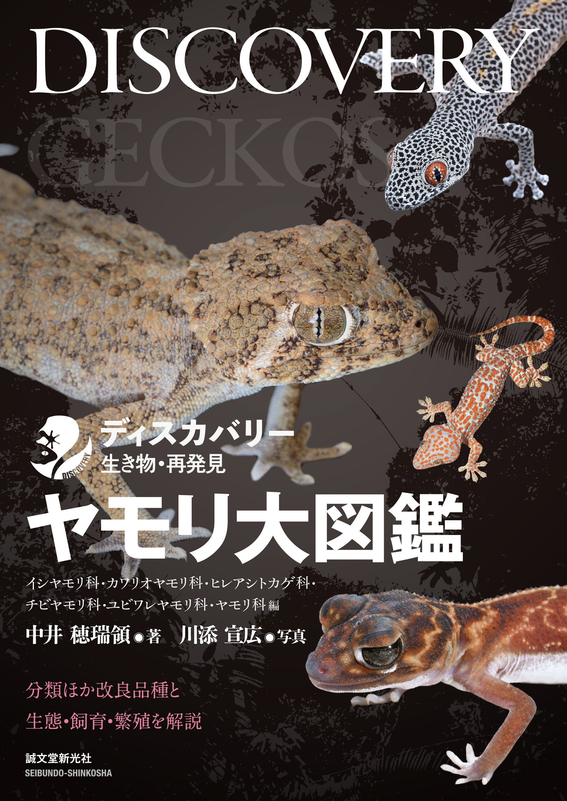 ヤモリ大図鑑