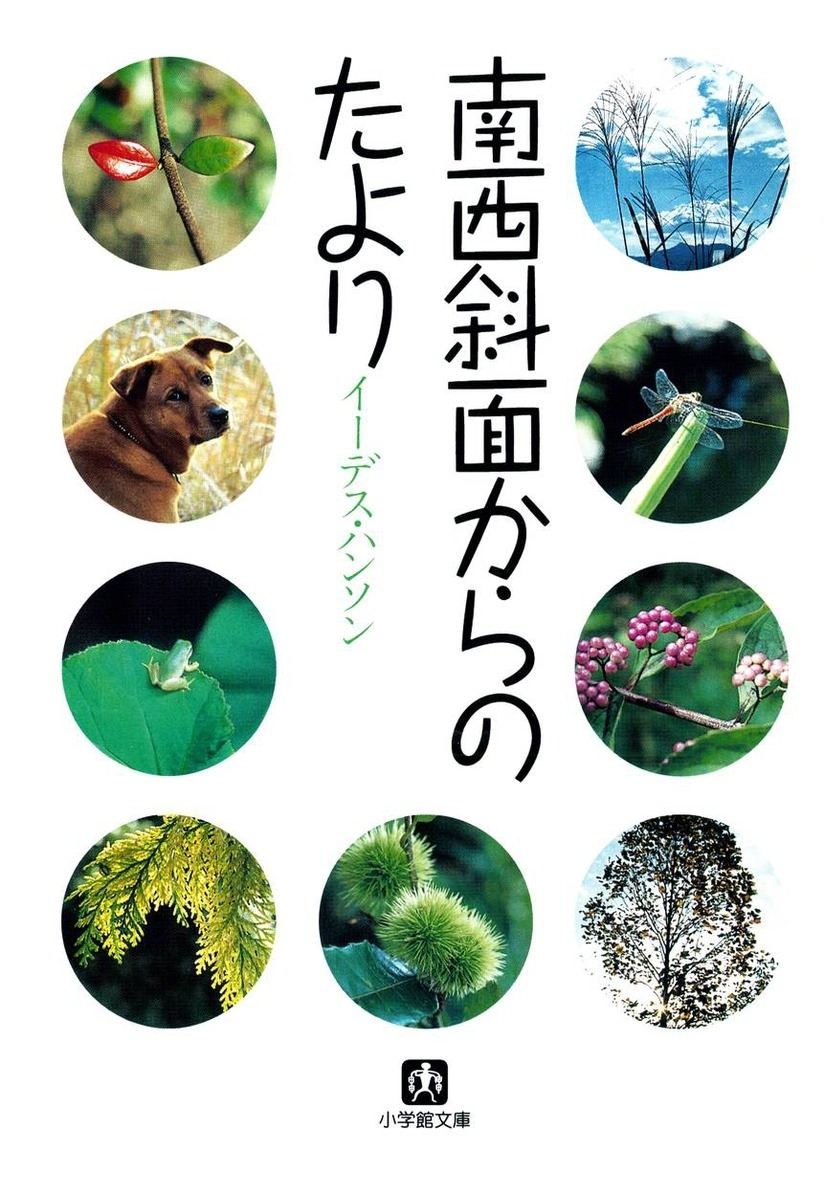 南西斜面からのたより（小学館文庫）