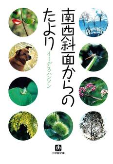 南西斜面からのたより(小学館文庫)