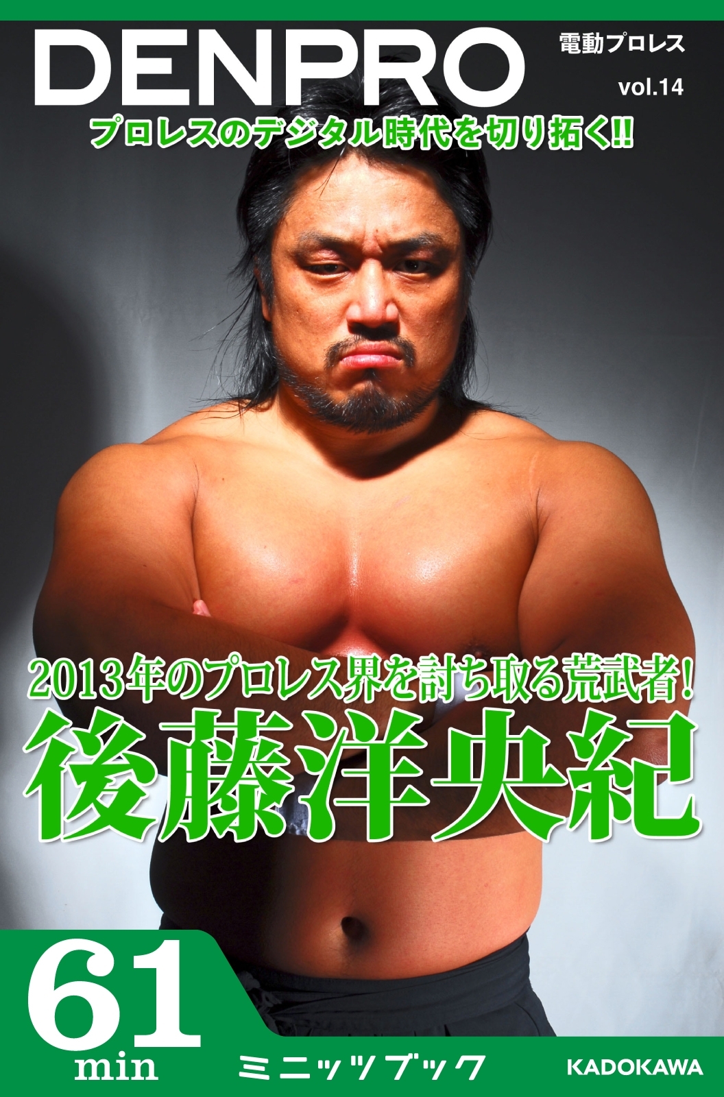 電動プロレス vol.14