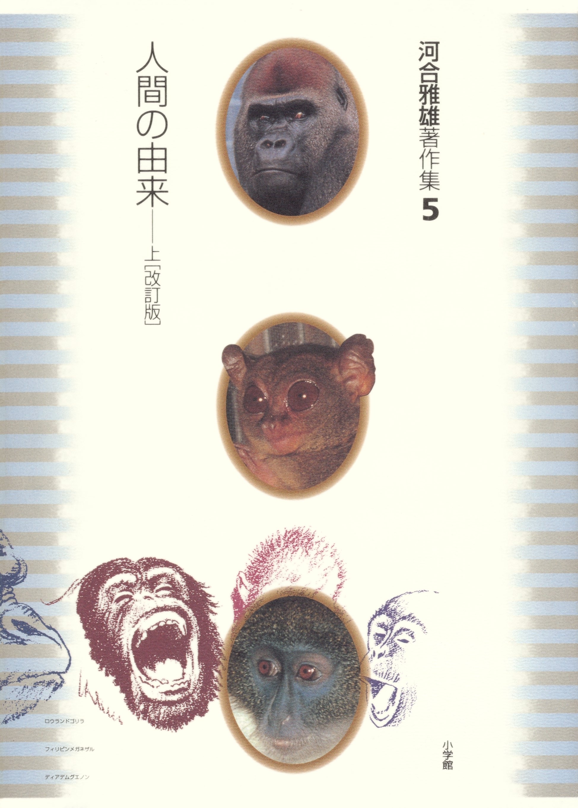 河合雅雄著作集5　人間の由来 上〔改訂版〕