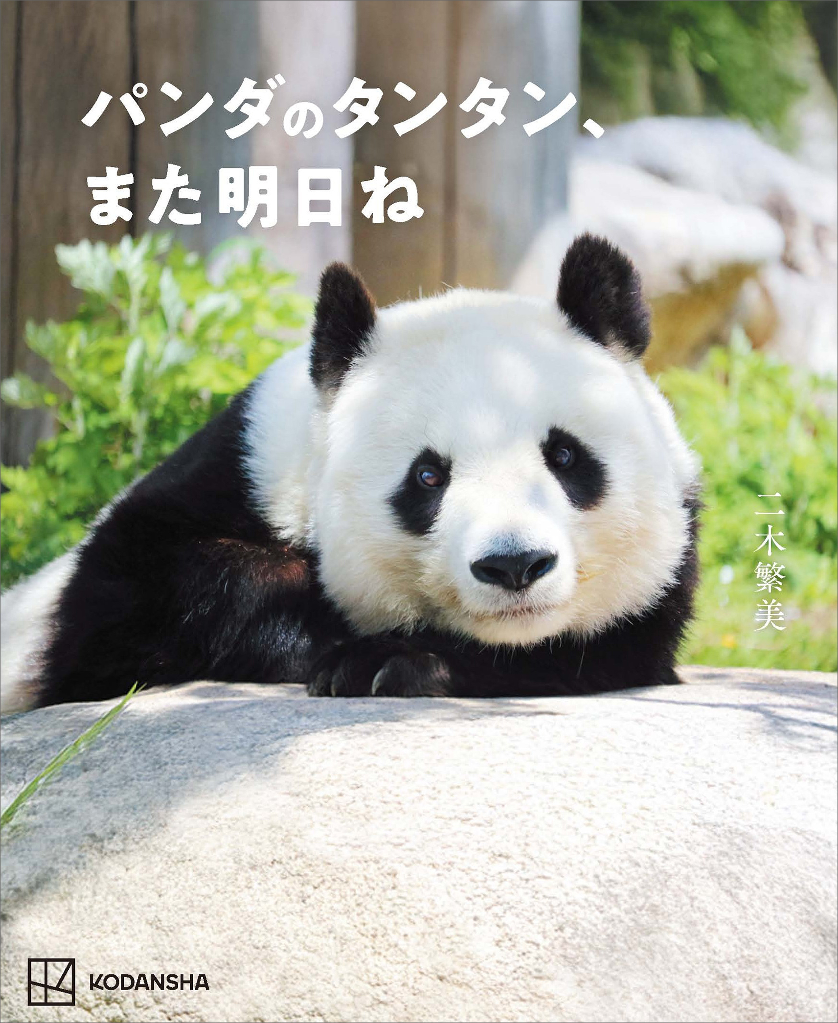 パンダのタンタン、また明日ね