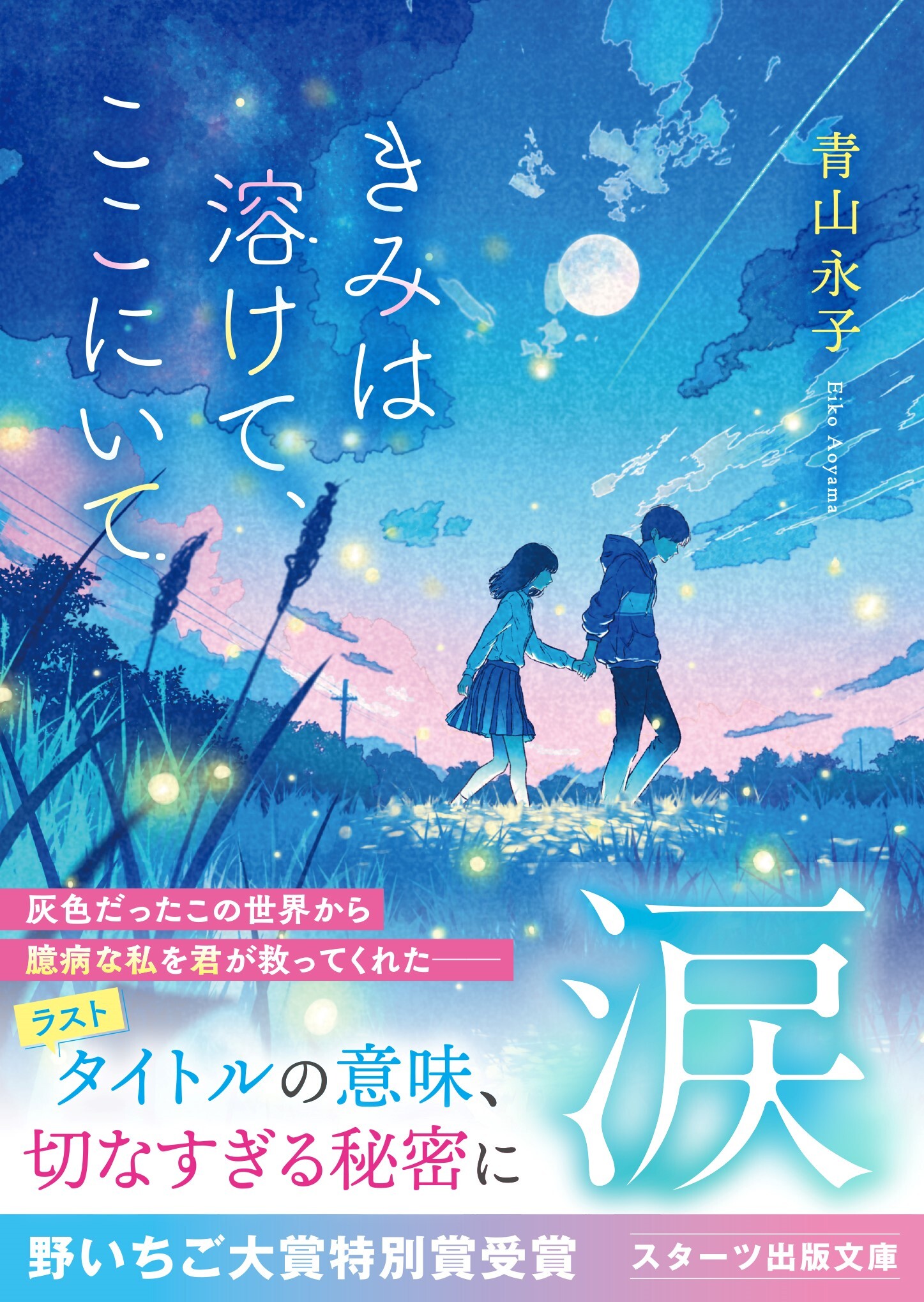 きみは溶けて、ここにいて