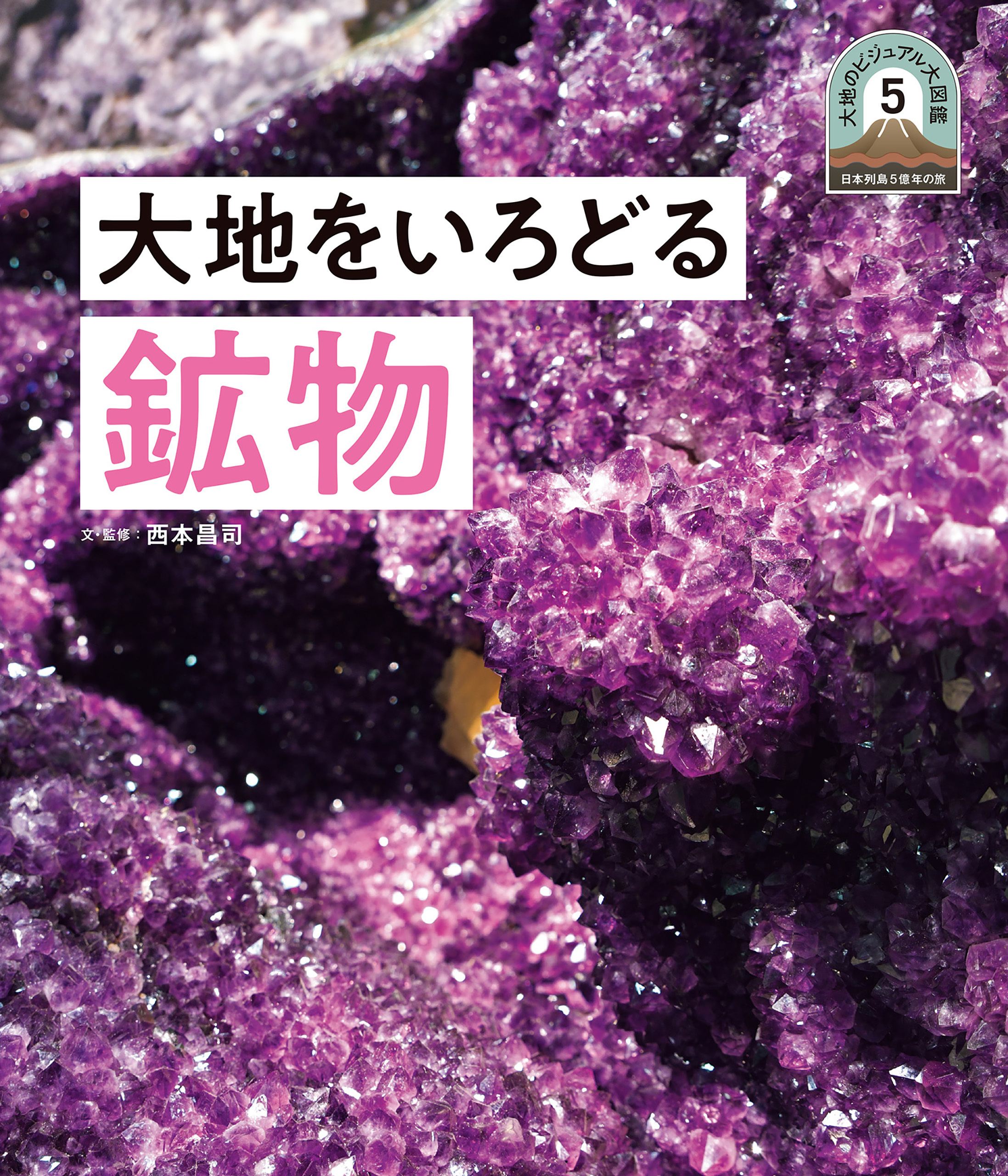大地をいろどる鉱物５　日本列島５億年の旅　大地のビジュアル大図鑑