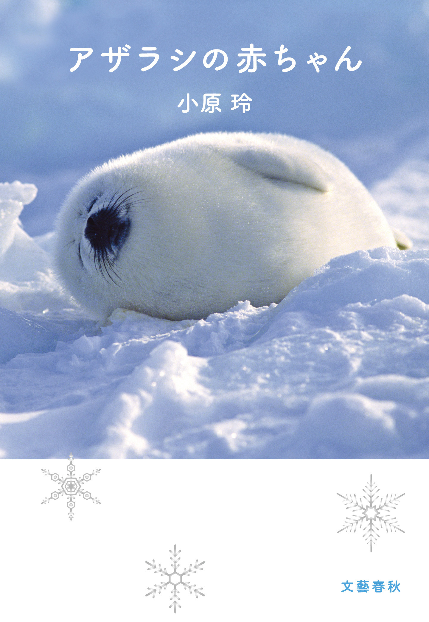 アザラシの赤ちゃん