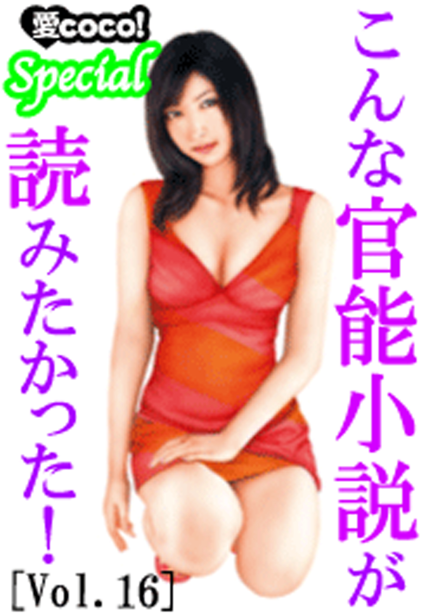 こんな官能小説が読みたかった！vol.16