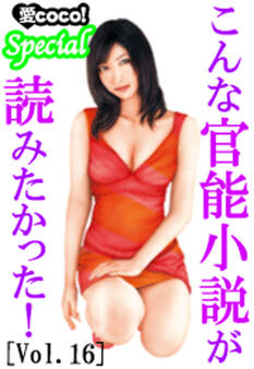こんな官能小説が読みたかった!vol.16