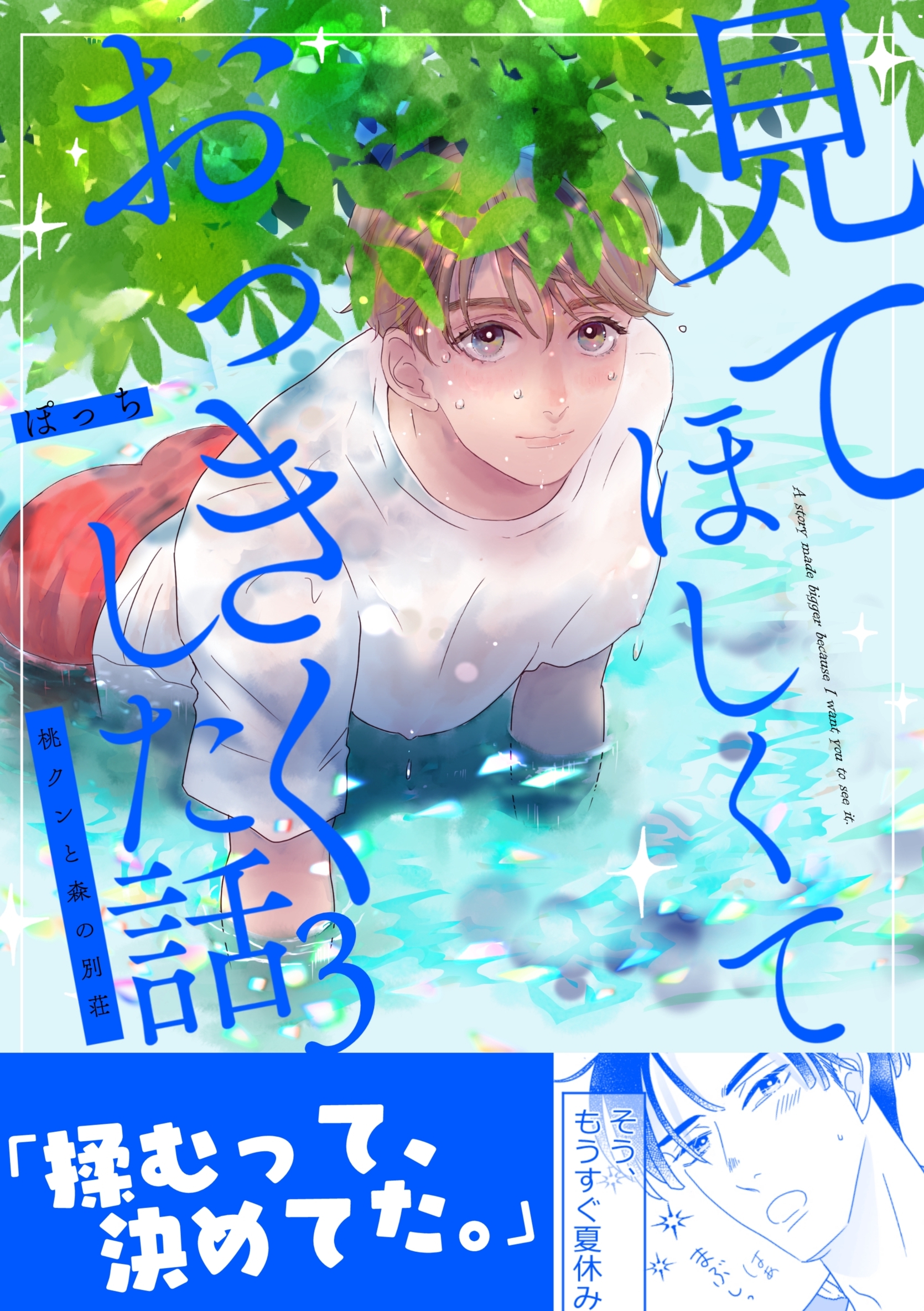 見てほしくておっきくした話(3) 桃クンと森の別荘