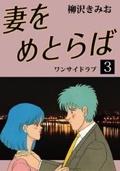 妻をめとらば　愛蔵版(3)