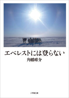 エベレストには登らない